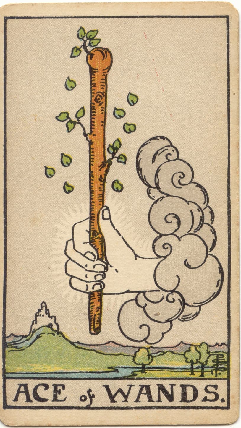 Ace of Wands — tarot card