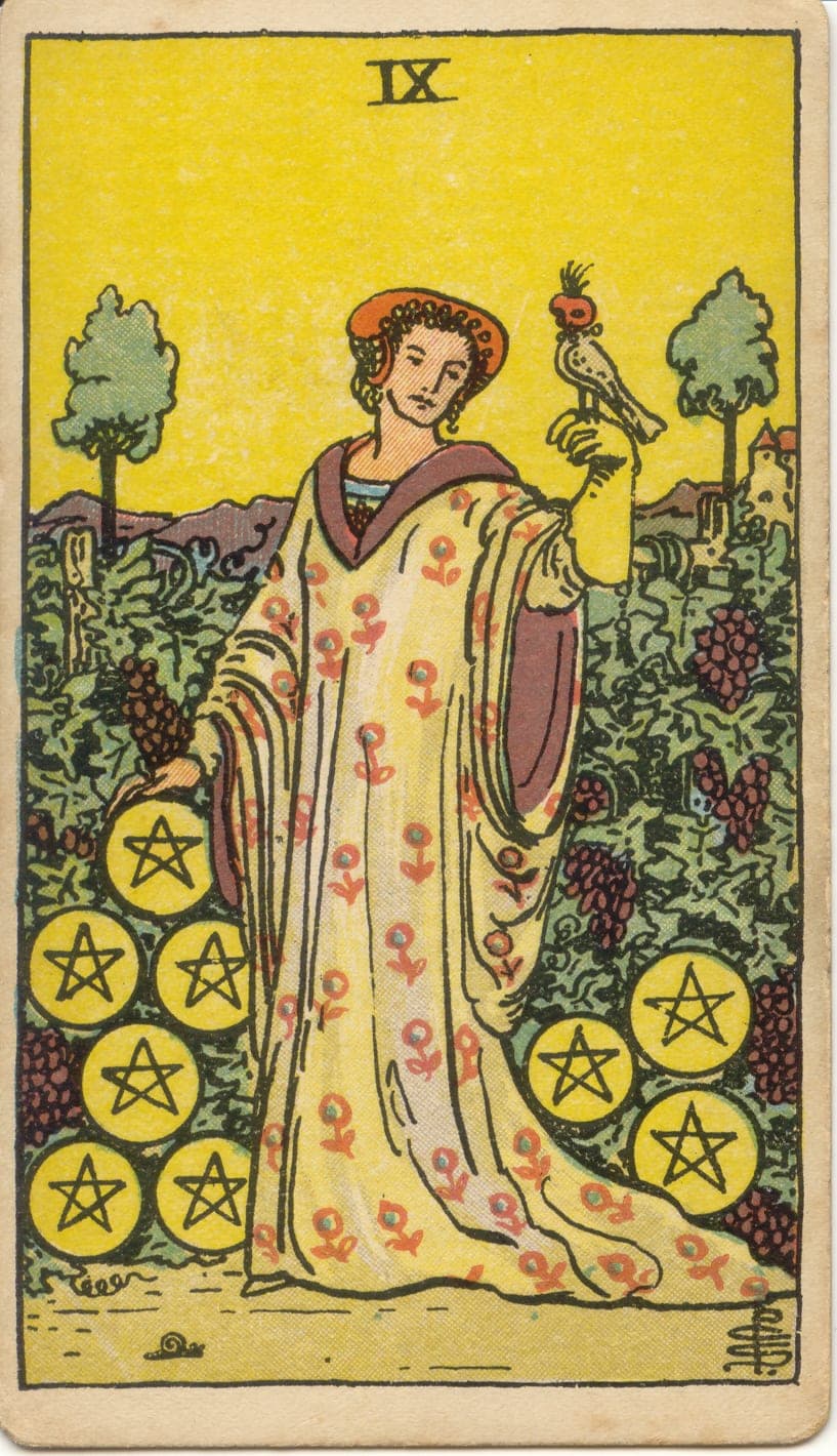 Nine of Pentacles — tarot card