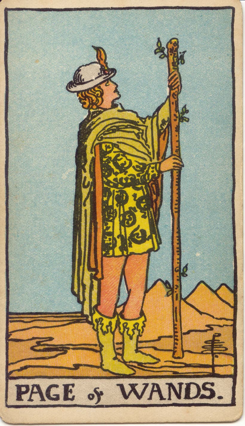 Page of Wands — tarot card